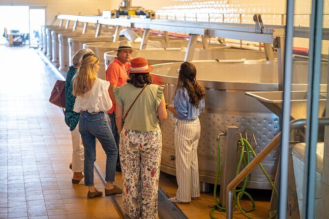 Private Arrábida and Comporta Wine Full Day Tour From Lisbon - Who Will Love This Tour?