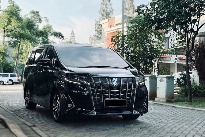 Private Arrival From Itami Airport ITM to Osaka City by Minivan - Pricing and Payment Options