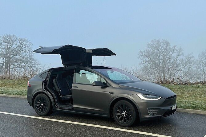 Private Arrival Transfer: from Geneva Airport to Interlaken - Key Points