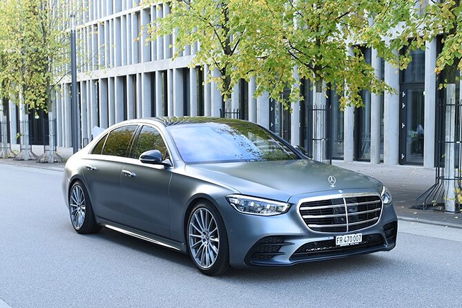 Private Arrival Transfer: From Geneva Airport to Verbier - Meeting and Greeting