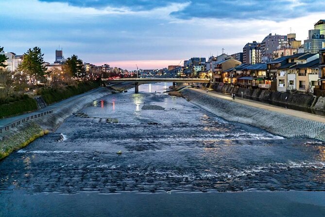 Private Arrival Transfer From Osaka Itami Airport(Itm) to Central Osaka City - Wheelchair Accessibility