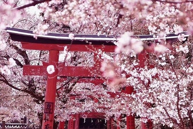 Private Arrival Transfer From Osaka Itami International Airport to Kyoto City - Cancellation Policy