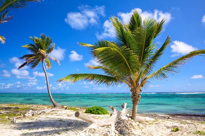 Private Arrival Transfer From Punta Cana Airport (Puj) to Bayahibe - Booking Details