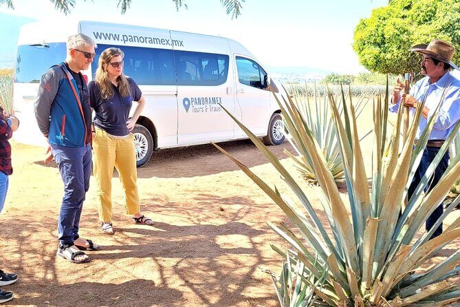 Private Artisanal Tequila Tour - A Detailed Look at the Tour Experience