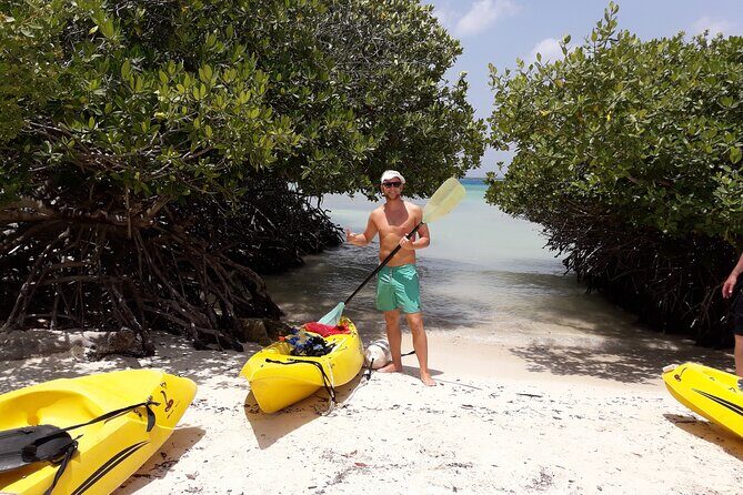Private Aruba Kayak & Snorkeling Tour + Transortation - The Sum Up