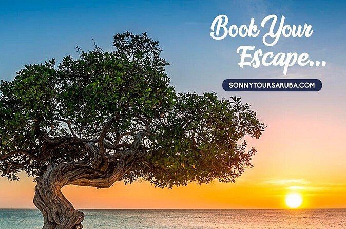 Private Aruba roundtrip airport transfer - How Does the Pricing Stack Up?