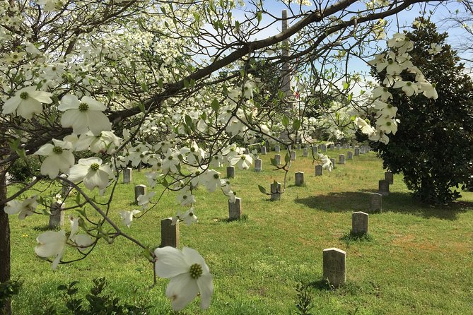 Private Atlanta History Tour From Civil War to Civil Rights - Experiencing Grant Parks Diverse Attractions