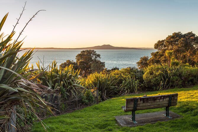 Private Auckland City Highlights Tour - Authentic feedback from past travelers