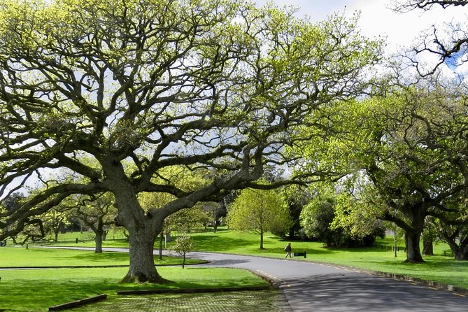 Private Auckland City Tour for Small Group in a Luxury Vehicle. - Inclusions and Amenities