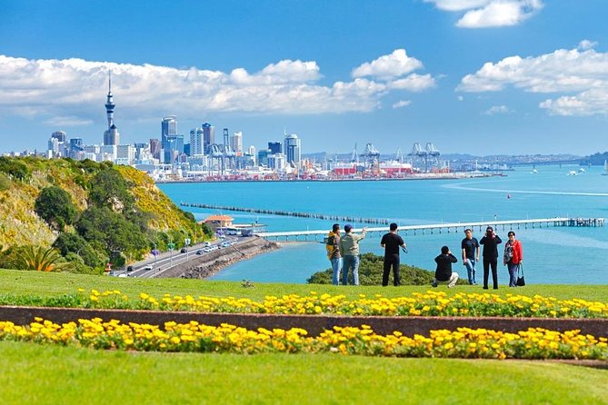 Private Auckland City Tour for Small Group in a Luxury Vehicle. - Accessibility Features