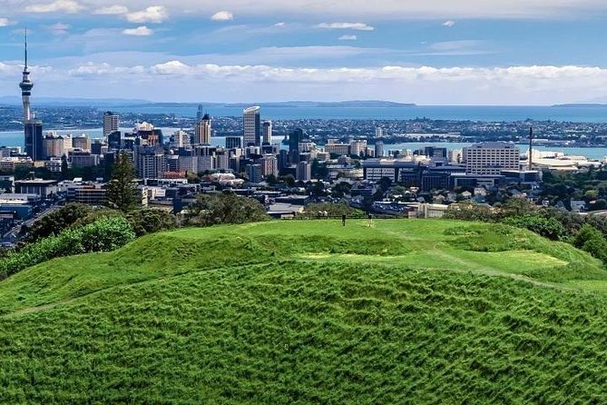 Private Auckland City Tour for Small Group in a Luxury Vehicle. - Booking and Cancellation Policy