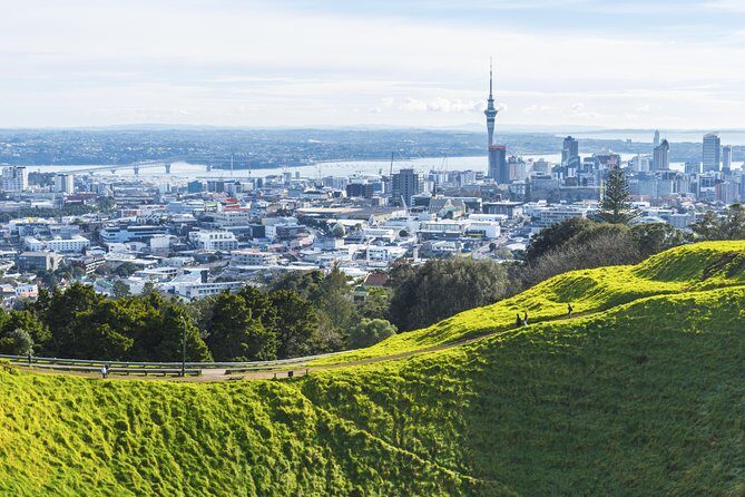 Private Auckland City Tour Including Auckland Tour House Visit - Introduction