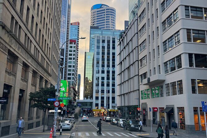 Private Auckland City Tour Including Auckland Tour House Visit - Key Points