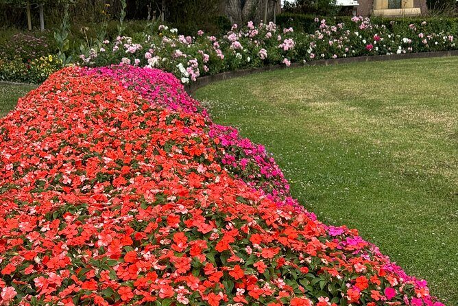 Private Auckland City Tour Including Auckland Tour House Visit - FAQ