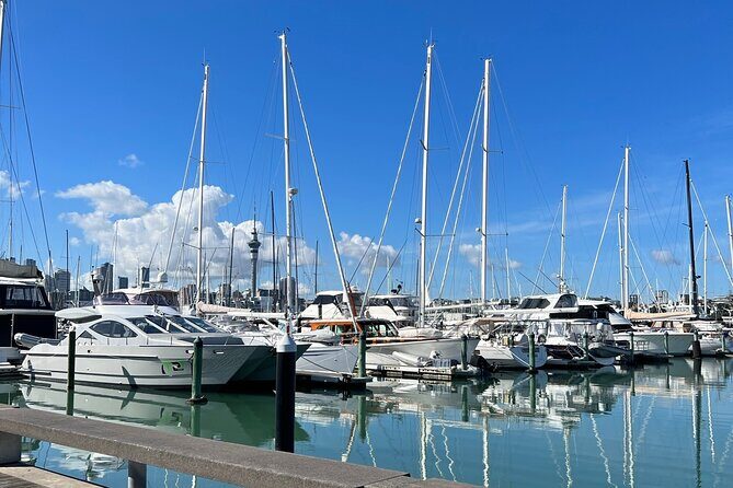 Private Auckland City Tour With Spectacular Harbour Views - Key Points