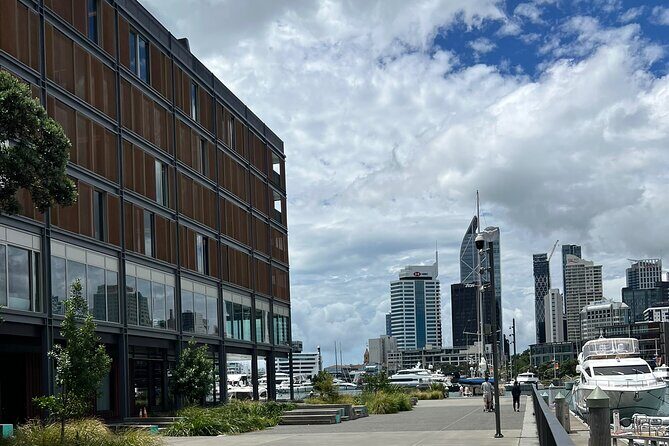 Private Auckland City Tour With Spectacular Harbour Views - The Itinerary in Detail