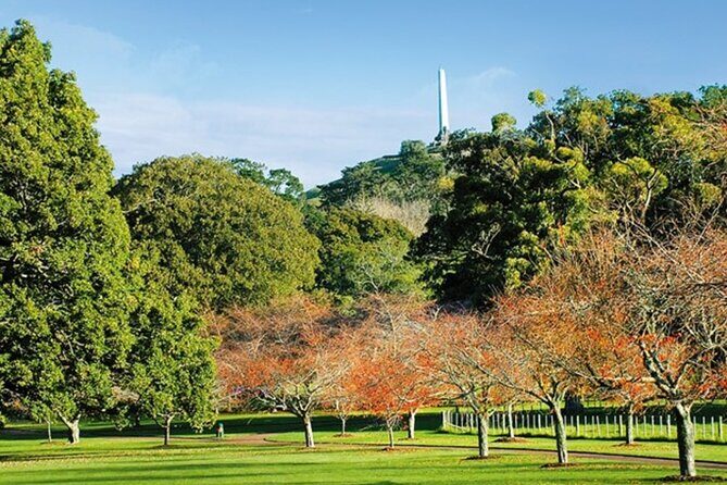 Private Auckland Sightseeing - Full Day/Half Day Hidden Gems Tour - Who Is This Tour Best Suited For?