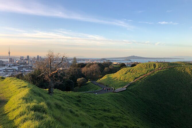 Private Auckland Tour - An In-Depth Look at the Private Auckland Tour