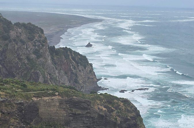 Private Auckland West Coast Karekare Falls, Rainforest and Piha - Who Will Love This Tour?