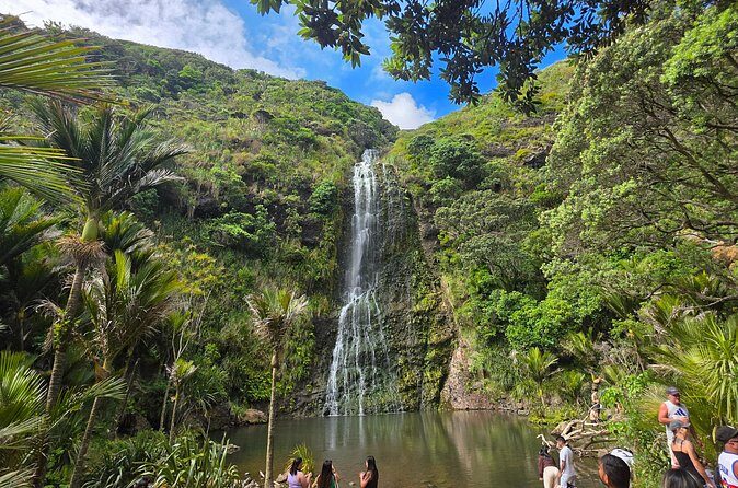 Private Auckland West Coast Karekare Falls, Rainforest and Piha - FAQ