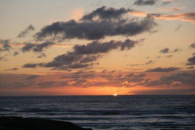 Private Auckland's Urban Charm Half Day Tour - Who Should Consider This Tour?