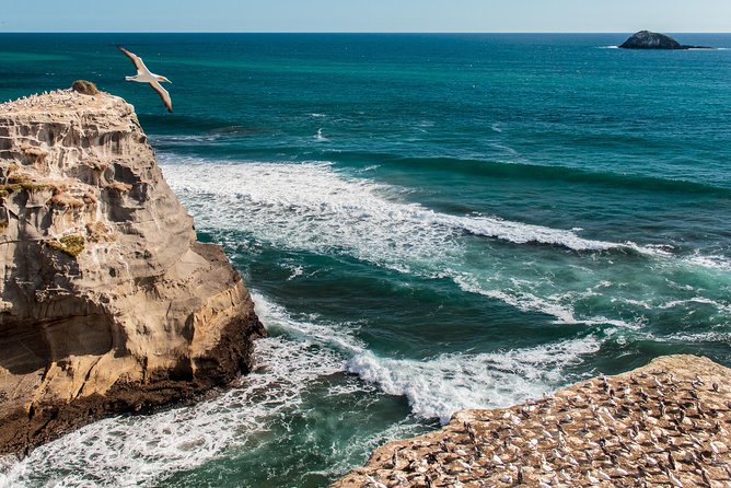 Private Aucklands West Coast - Piha/ Muriwai - Wild West Tour - Transportation Details