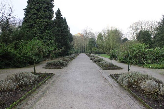 Private Audio Book City Rally Around the Rombergpark in Dortmund - Cancellation Policy