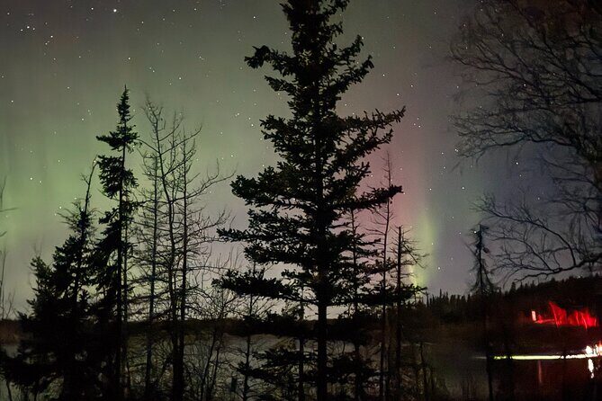 Private Aurora Tour Small Group SUV Experience - Final Thoughts