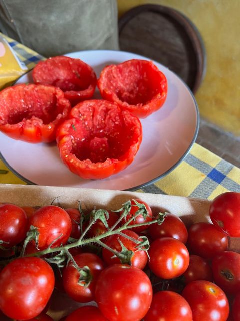 Private Authentic Home Tuscany cooking class - Discovering the Heart of Tuscany in a Private Kitchen