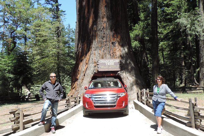 Private Avenue of the Giants Redwoods Day Trip From San Francisco - Health and Accessibility