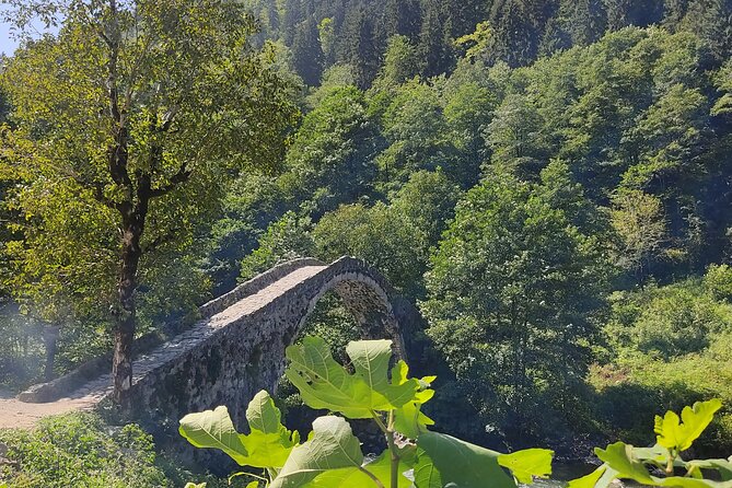 Private Ayder Tour With a Licensed Tour Guide - Inclusions and Pickup
