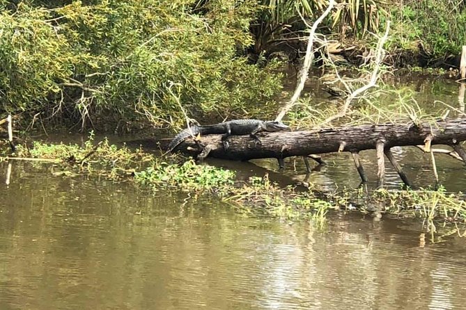 Private Bachelor or Bachelorette Airboat Swamp Tour in New Orleans - Booking and Cancellation Policy