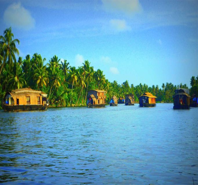 Private Backwater Cruise From Bangalore - Key Points