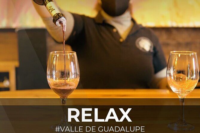 PRIVATE BAJA WINERIES EXPERIENCE (Transportation,concierge,custom schedule) - The Sum Up