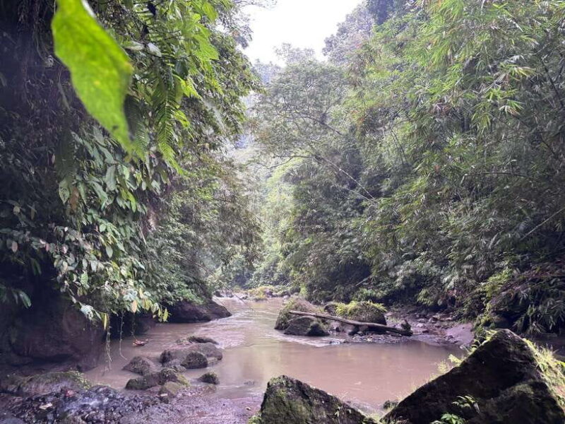 Private Balinese Body and Soul Cleansing Journey - FAQ