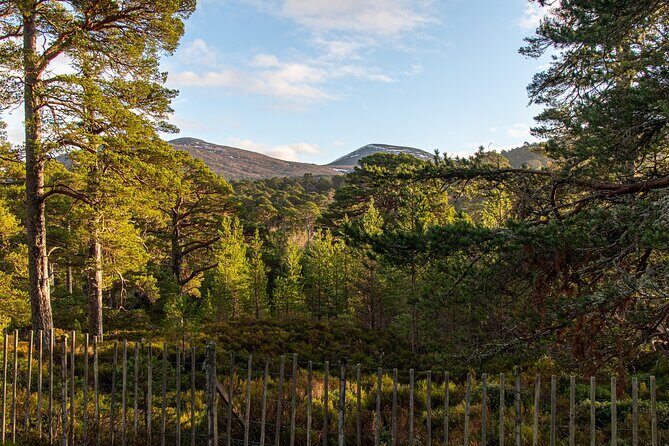 Private Balmoral Walking Tour to Queens Secret Cabin & the Castle - The Value of the Experience