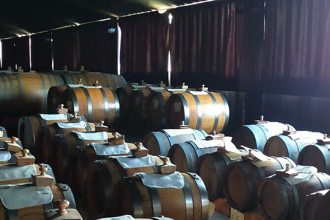 Private Balsamic vinegar & Parmigiano Reggiano factory visits - A Closer Look: What to Expect from the Tour