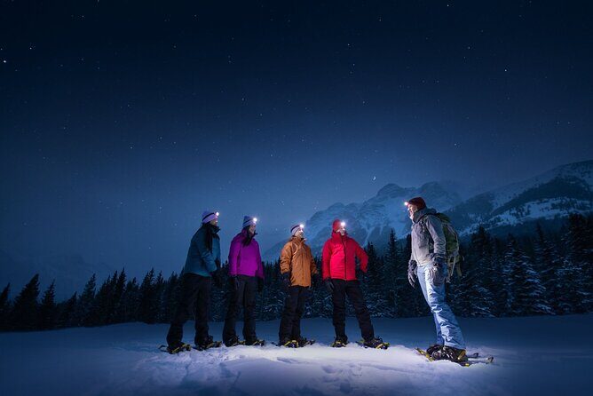Private Banff and Canmore Stargazing Tour with VIP Pickup - The Experience in Detail