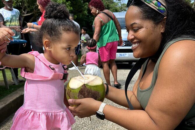 Private Barbados Island Tour - Accessibility and Convenience