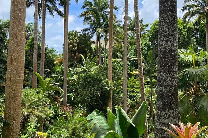 Private Barbados Island Tour - Who Should Consider This Tour?