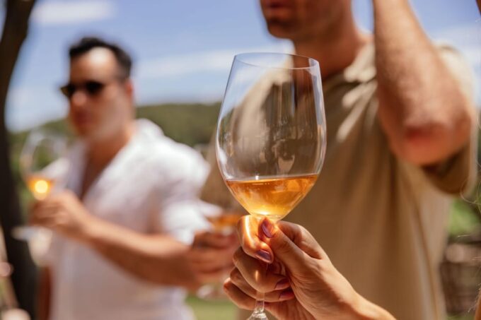 PRIVATE Barcelona: Penèdes Horse Riding &Wine Tastings+Tapas - Winery Visits and Tastings