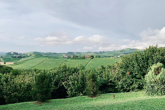 Private Barolo Wine Tour With Winemaker From Turin - Customer Reviews