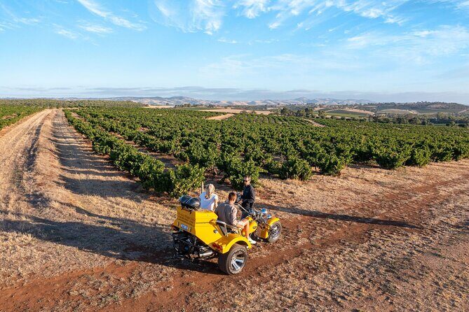 Private Barossa's Best Sightseeing Tour for Two - Why This Tour Stands Out