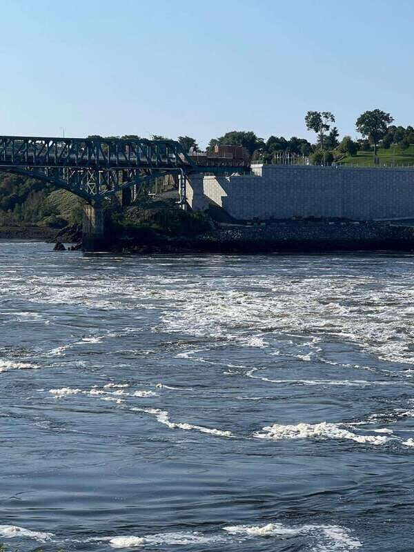 Private Bay of Fundy and City Highlights Tour up to 7 - Pricing and Value