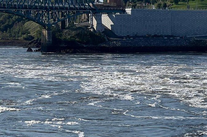 Private Bay of Fundy & City sightseeing (Saint John, NB) - Final Thoughts: Who Should Consider This Tour?