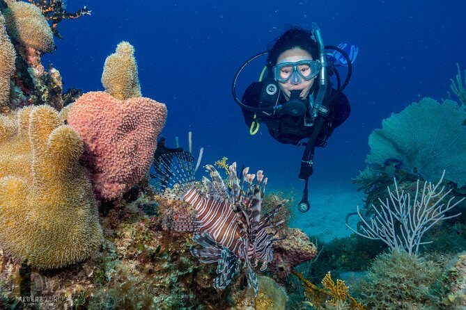 Private Bayahibe 3 Tank Diving with Lunch from Punta Cana - Key Points