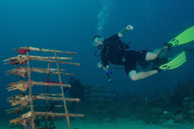Private Bayahibe 3 Tank Diving with Lunch from Punta Cana - An In-Depth Look at What You Can Expect