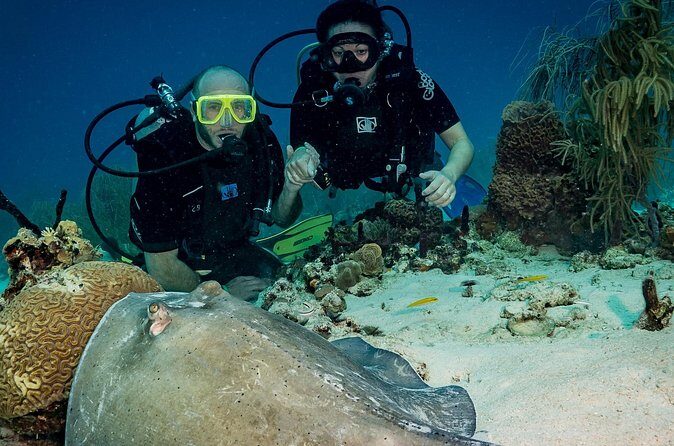 Private Bayahibe 3 Tank Diving with Lunch from Punta Cana - FAQ