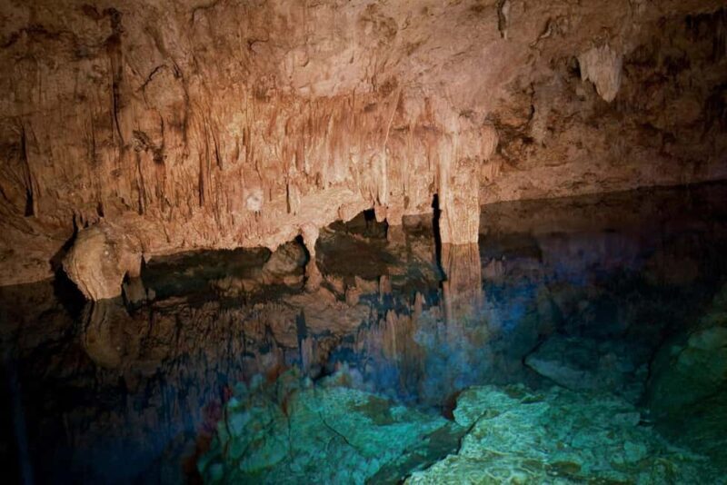Private: Bayahibe: Jungle Walk and Cenote Snorkeling Tour - Exploring the Dominican Republic’s Natural Wonders: The Private Jungle Walk and Cenote Snorkeling Tour