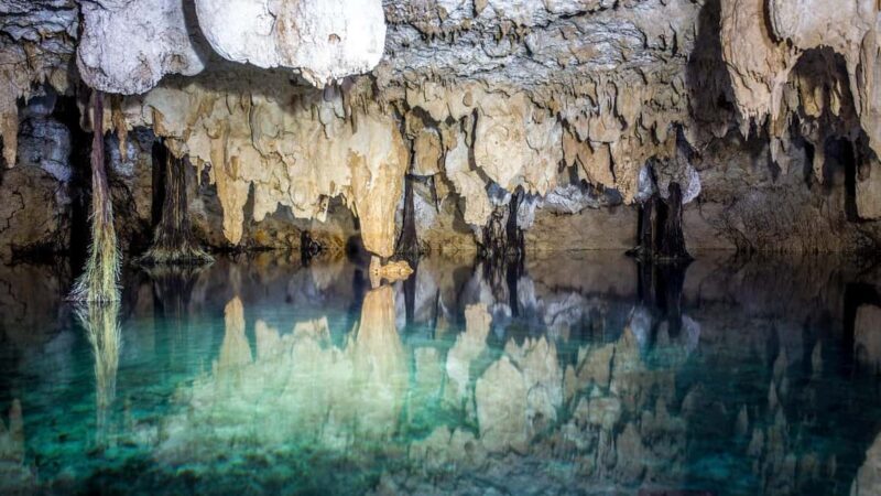 Private: Bayahibe: Jungle Walk and Cenote Snorkeling Tour - Final Thoughts: Is It Worth It?